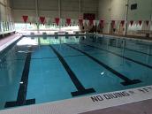 Pool painting